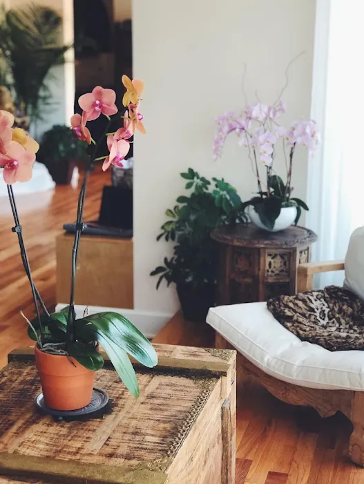 Vyana Yoga & PolariTea Picture 7