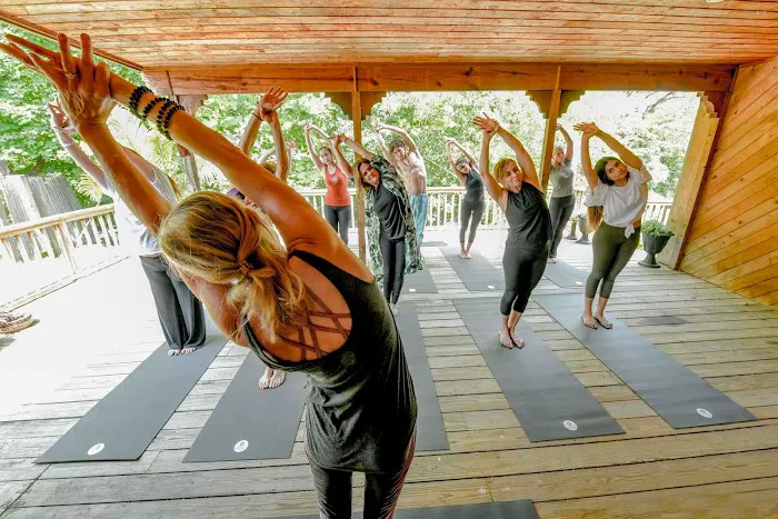 Vyana Yoga & PolariTea Picture 6