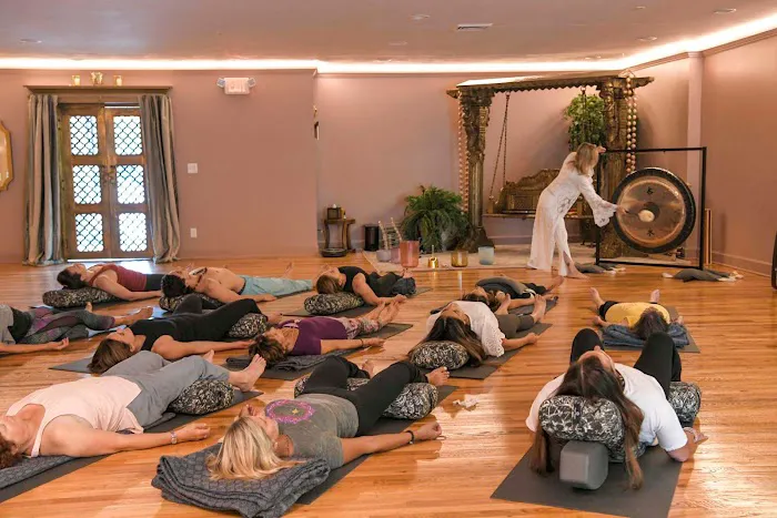 Vyana Yoga & PolariTea Picture 2