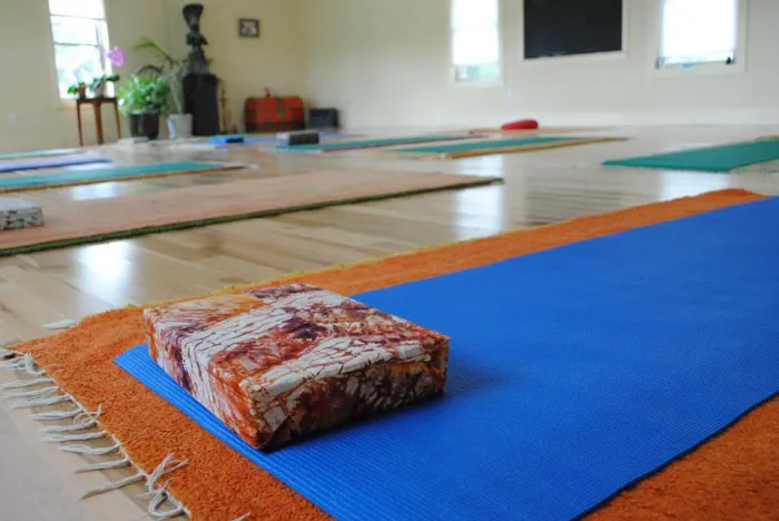 Upstate Yoga Institute Picture 2