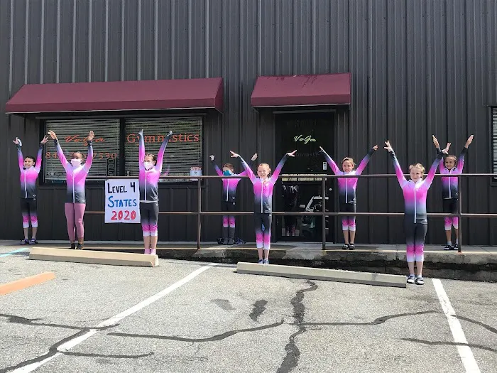 Vega Gymnastics Picture 5