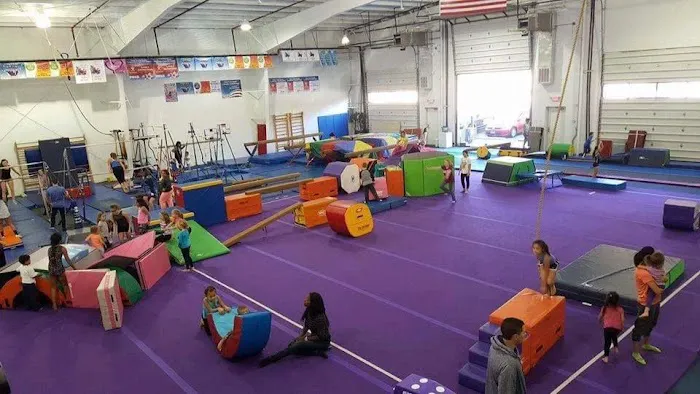 Vega Gymnastics Picture 4