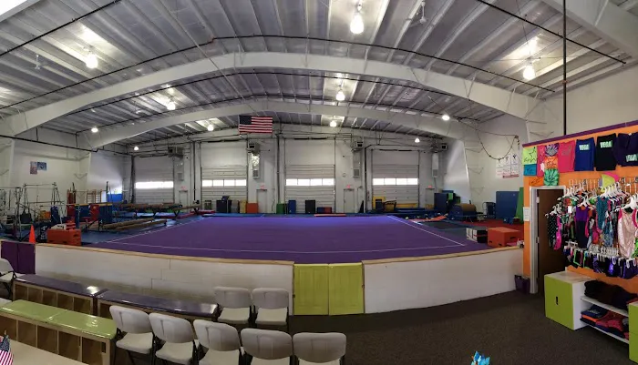 Vega Gymnastics Picture 3