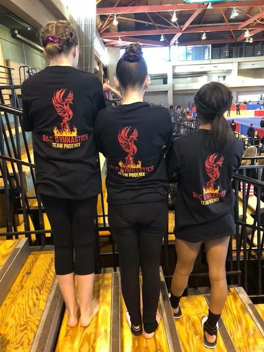 B&C Gymnastics Picture 3