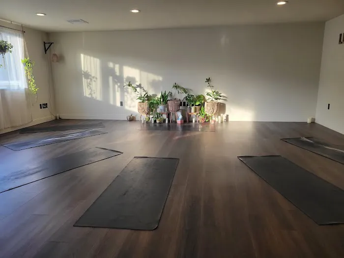 Luna Power Yoga, New York Picture 6