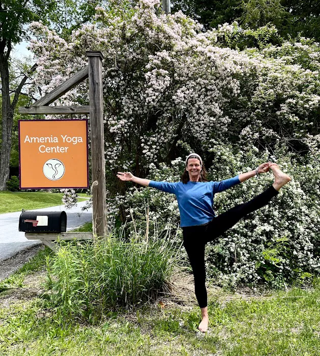 Amenia Yoga - a Place for Wellness Picture 2