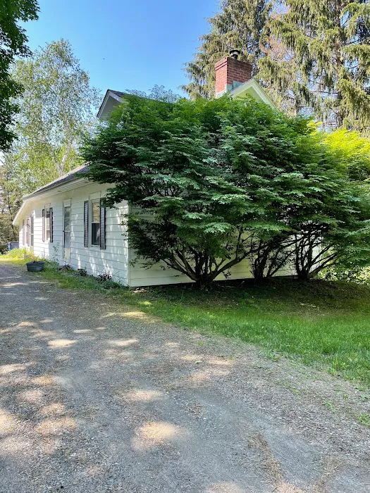 Amenia Yoga - a Place for Wellness Picture 1