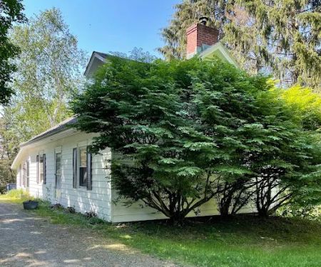 Amenia Yoga - a Place for Wellness