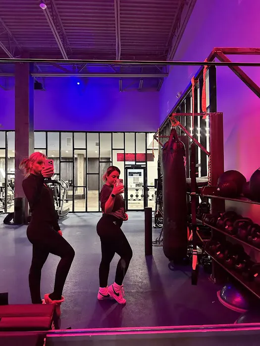 Level Fitness Somers Picture 8
