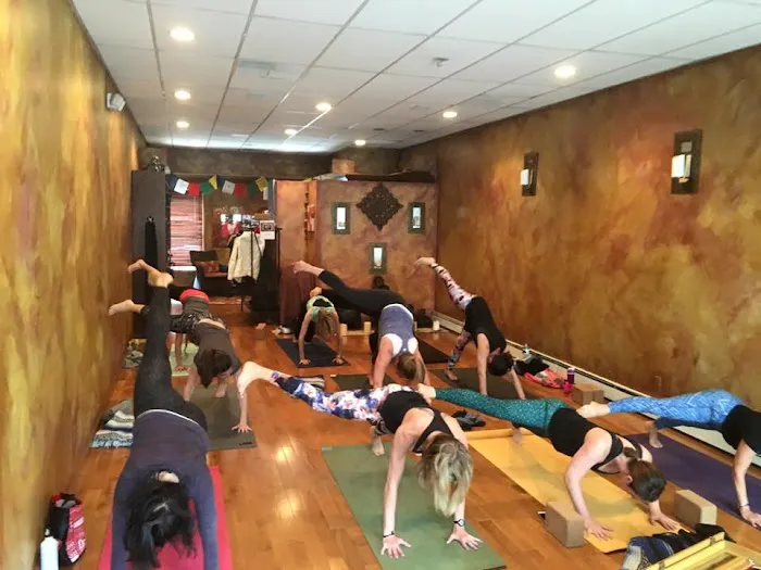 Ho-Ho-Kus Yoga Picture 4