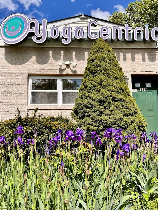 YogaCentric Picture 10