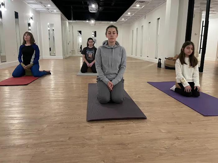 Baker Health Yoga Studio Picture 7