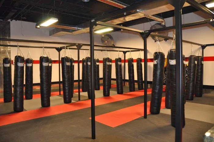 Powerhouse Gym Saddle Brook Picture 3