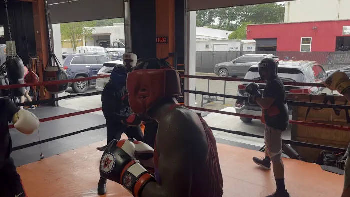 Savage Boxing Club Picture 4