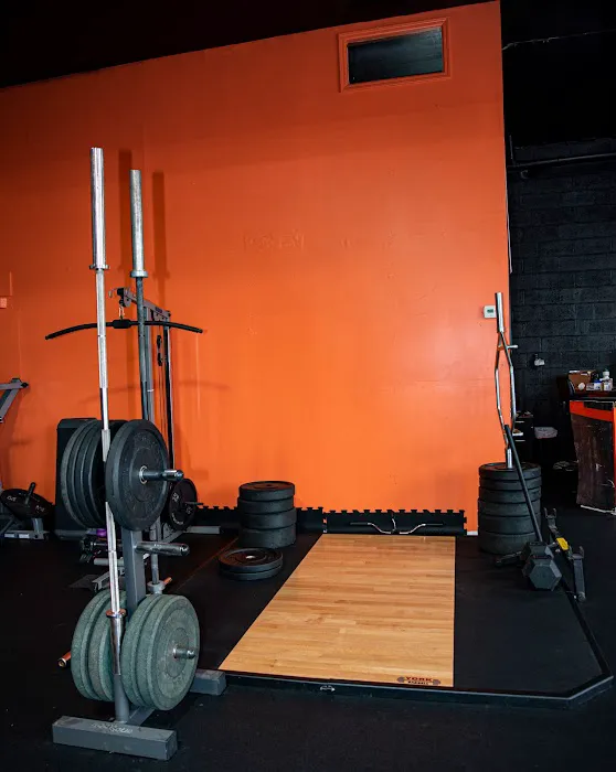 Savage Boxing Club Picture 6