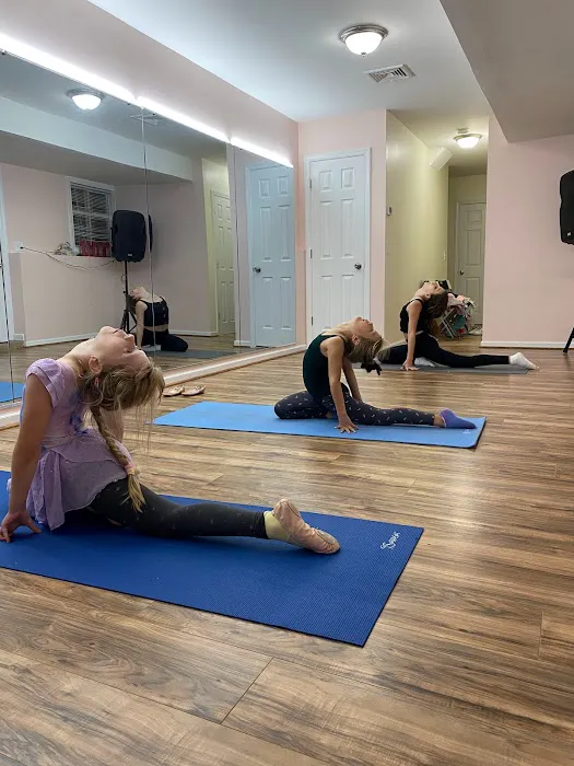 Dance and Gymnastics School Releve Picture 3