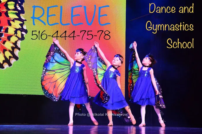 Dance and Gymnastics School Releve Picture 1