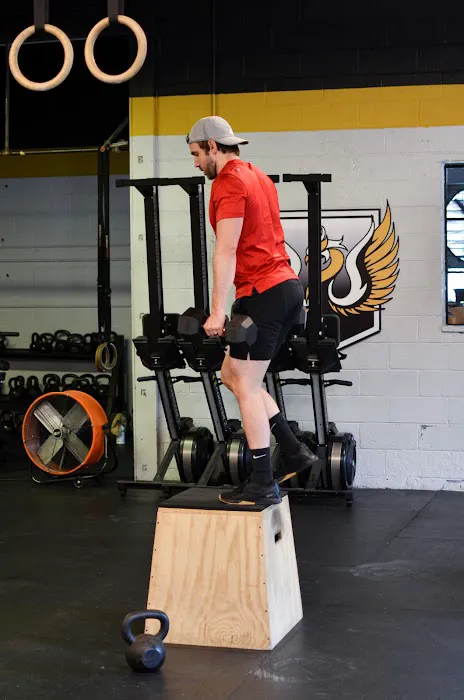 Golden Phoenix CrossFit Picture 9