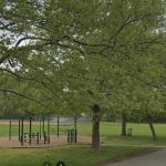 Outdoor Calisthenics Gym