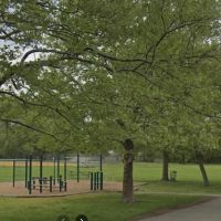 Outdoor Calisthenics Gym ico