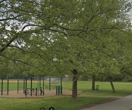 Outdoor Calisthenics Gym