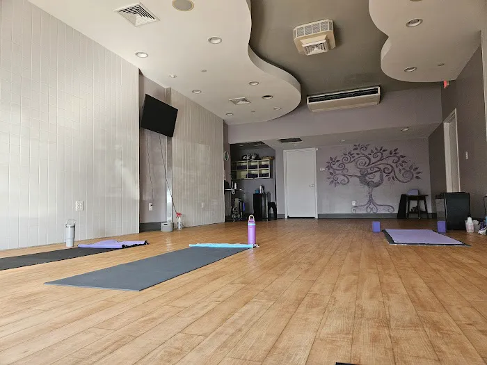 Transform Power Yoga LLC Picture 3