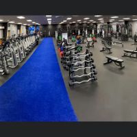 Verta Fitness ico