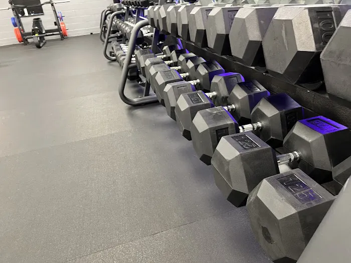 Verta Fitness Picture 7