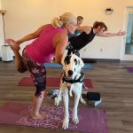 Shakti Yoga & Pilates