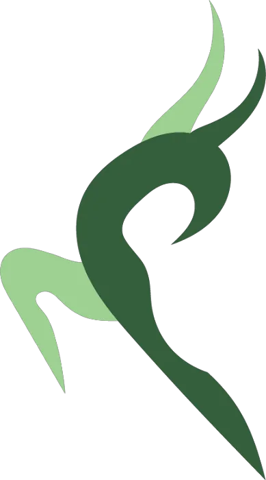 Roots Gymnastics Picture 1