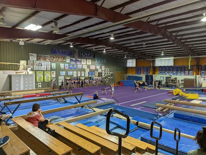 Ultimate Gymnastics Picture 4
