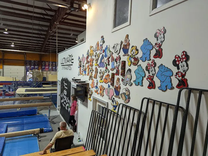 Ultimate Gymnastics Picture 3