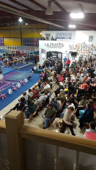 Ultimate Gymnastics Picture 6
