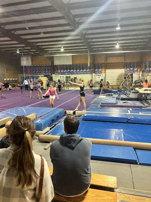 Ultimate Gymnastics Picture 5