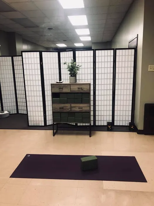 Trailasana Yoga Studio Picture 1