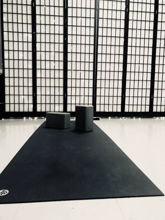 Trailasana Yoga Studio Picture 2