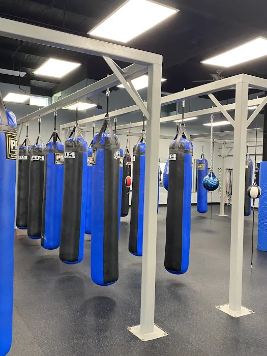 Fit 4 Boxing Club II Picture 6