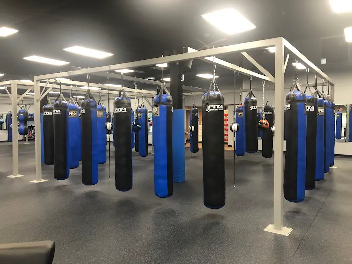 Fit 4 Boxing Club II Picture 4
