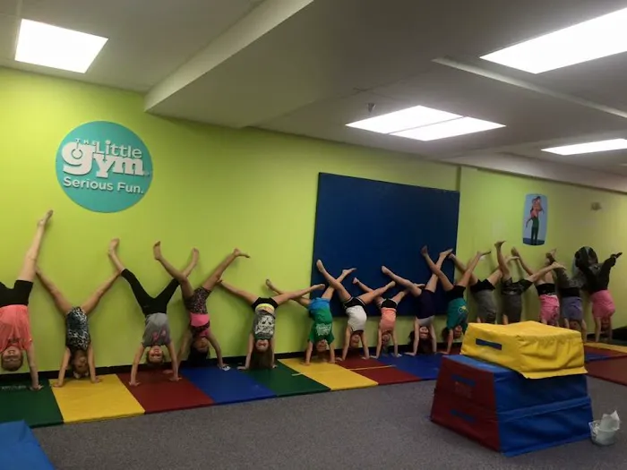 The Little Gym of Pittsburgh-South Hills Picture 6