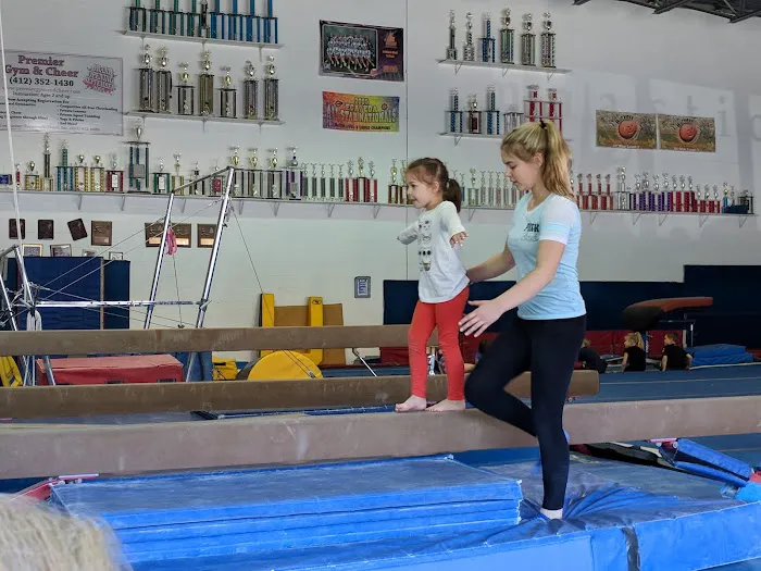 Premier Gym and Cheer Picture 5