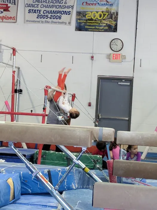 Premier Gym and Cheer Picture 6