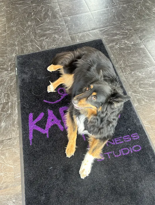 Karma Fitness Studio Picture 10