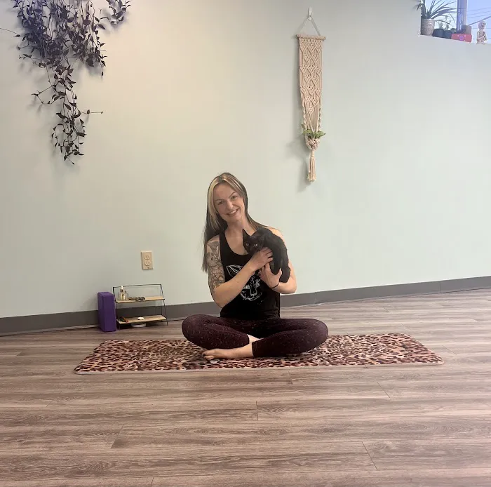 Black Cat Yoga Picture 9