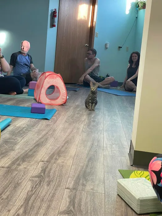 Black Cat Yoga Picture 1