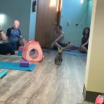 Black Cat Yoga