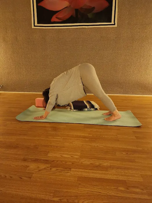 Health Thru Yoga Picture 1