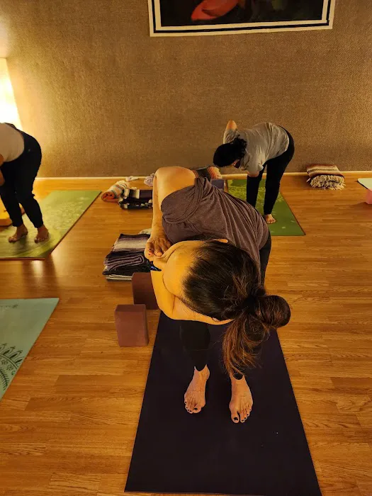 Health Thru Yoga Picture 4