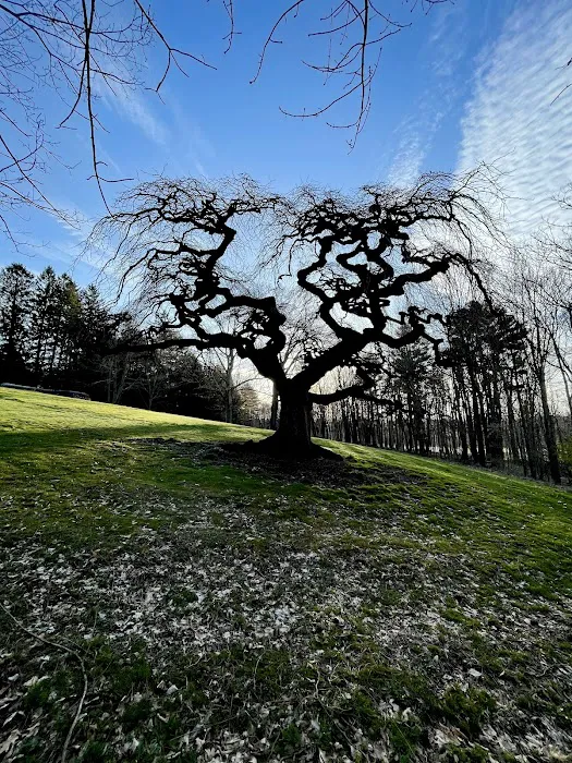 Kripalu Center For Yoga & Health Picture 6