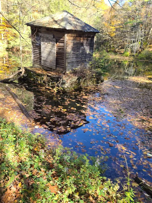 Kripalu Center For Yoga & Health Picture 10