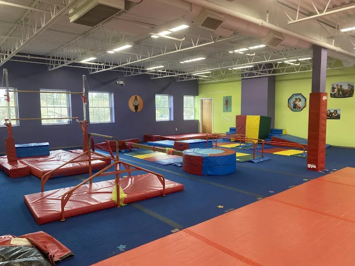 The Little Gym Picture 5
